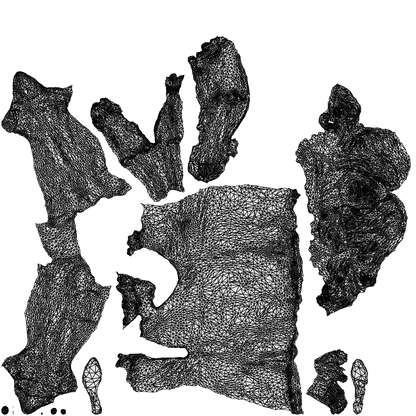 3D scanned senior woman business casual, photorealistic archviz people for Enscape and SketchUp, wireframe top-down view