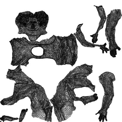realistic 3D people man sport, render-ready for V-Ray and Corona, FBX OBJ, wireframe top-down view