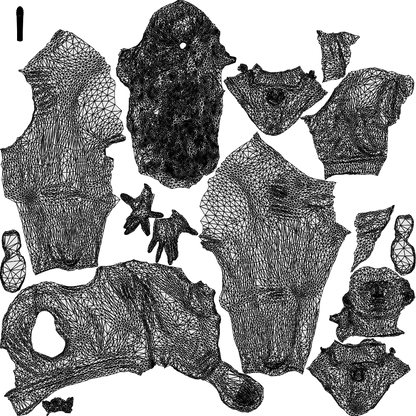 scanned 3D woman sport sitting, photogrammetry people for Enscape and V-Ray, wireframe top-down view