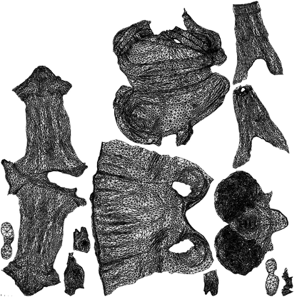 realistic 3D woman sport, scanned archviz people for Blender and 3ds Max, wireframe top-down view