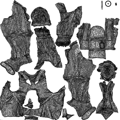 3D scanned man cycling business, photorealistic archviz people for Enscape and SketchUp, wireframe top-down view