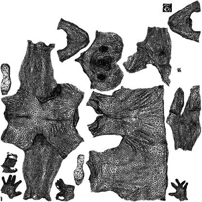 3D human model senior man sport, photogrammetry scanned person for archviz, wireframe top-down view