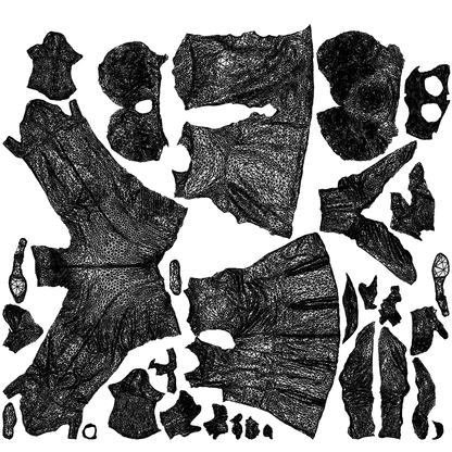 scanned 3D girl casual kids, photogrammetry people for Enscape and V-Ray, wireframe top-down view