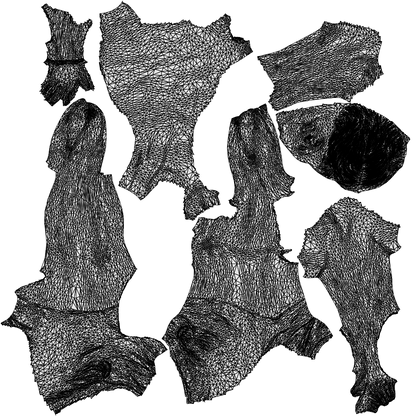 3D human model man pool, photogrammetry scanned person for archviz, wireframe top-down view