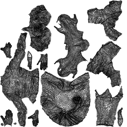 scanned 3D senior woman formal sitting, photogrammetry people for Enscape and V-Ray, wireframe top-down view