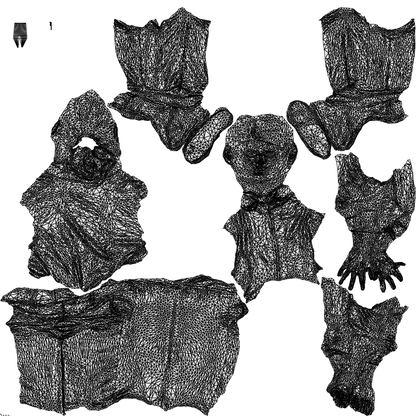 3D human model girl kids, photogrammetry scanned person for archviz, wireframe top-down view