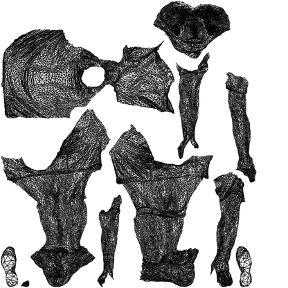 scanned 3D man sport, photogrammetry people for Enscape and V-Ray, wireframe top-down view