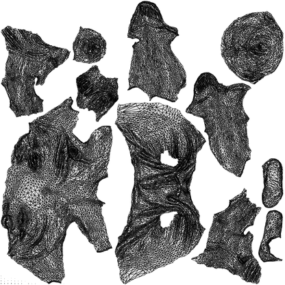 photogrammetry 3D boy kids, realistic human model archviz FBX, wireframe top-down view