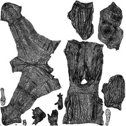 realistic 3D people woman casual walking, render-ready for V-Ray and Corona, FBX OBJ, wireframe top-down view