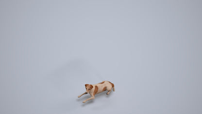 3D human model person casual misc, photogrammetry scanned person for archviz, back view render