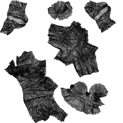 scanned 3D man hospitality, photogrammetry people for Enscape and V-Ray, wireframe top-down view