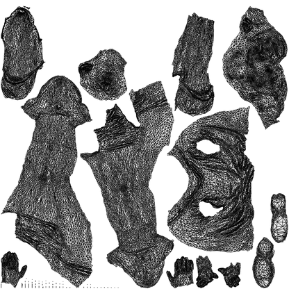 3D people model girl casual kids, scanned human for 3ds Max rendering, wireframe top-down view