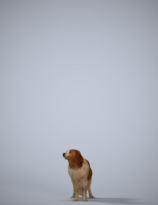 photogrammetry 3D person misc, realistic human model archviz FBX