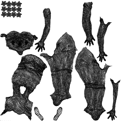 realistic 3D people woman sport, render-ready for V-Ray and Corona, FBX OBJ, wireframe top-down view