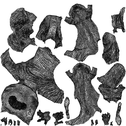3D scanned woman sitting casual, photorealistic archviz people for Enscape and SketchUp, wireframe top-down view