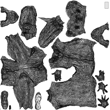 realistic 3D people man casual walking, render-ready for V-Ray and Corona, FBX OBJ, wireframe top-down view