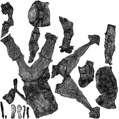 3D people model woman business sitting, scanned human for 3ds Max rendering, wireframe top-down view
