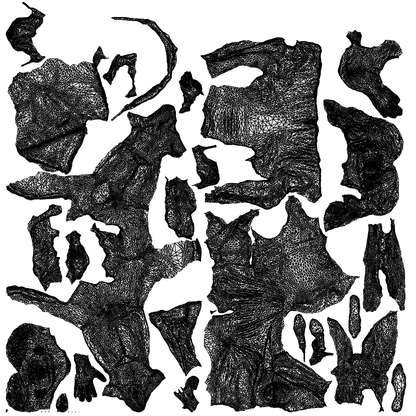 3D people model woman formal couple, scanned human for 3ds Max rendering, wireframe top-down view
