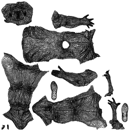 realistic 3D man casual sitting, scanned archviz people for Blender and 3ds Max, wireframe top-down view