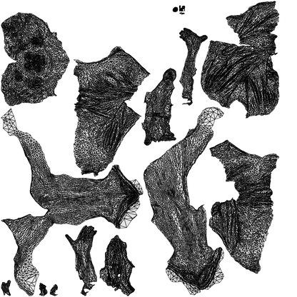 3D people model woman casual sitting, scanned human for 3ds Max rendering, wireframe top-down view