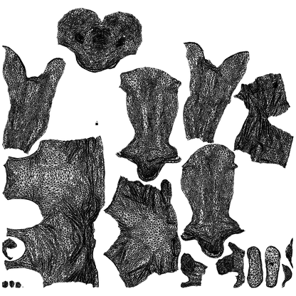 scanned 3D man casual cycling, photogrammetry people for Enscape and V-Ray, wireframe top-down view