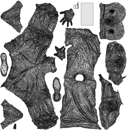 photogrammetry 3D man casual walking, realistic human model archviz FBX, wireframe top-down view