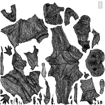 3D human model man business walking, photogrammetry scanned person for archviz, wireframe top-down view