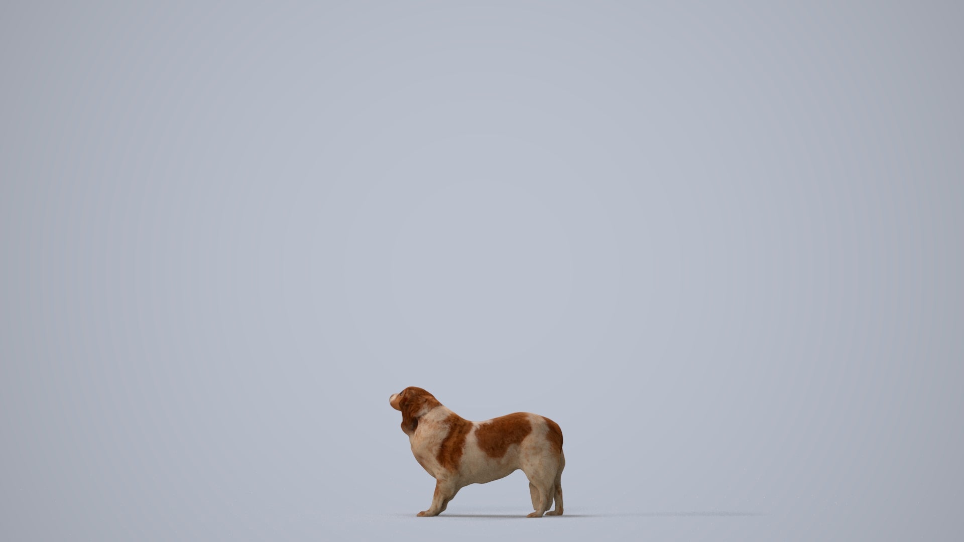 photogrammetry 3D person misc, realistic human model archviz FBX, three-quarter view render
