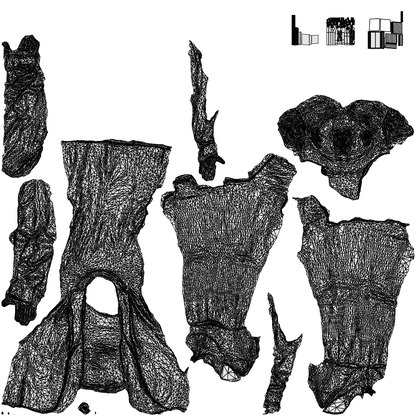 3D scanned woman walking business, photorealistic archviz people for Enscape and SketchUp, wireframe top-down view