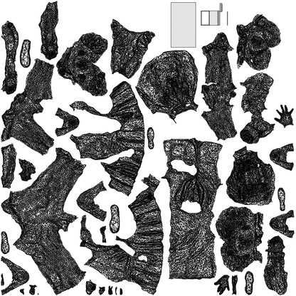 3D people model boy kids, scanned human for 3ds Max rendering, wireframe top-down view