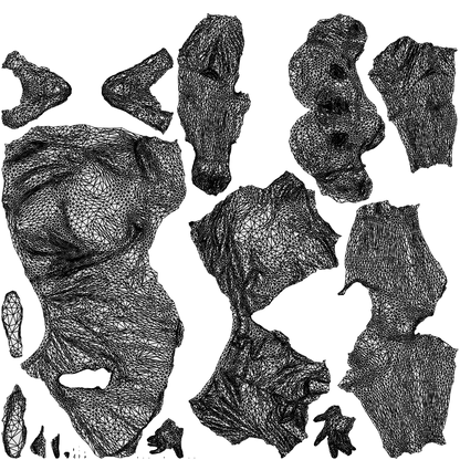 3D human model girl kids, photogrammetry scanned person for archviz, wireframe top-down view
