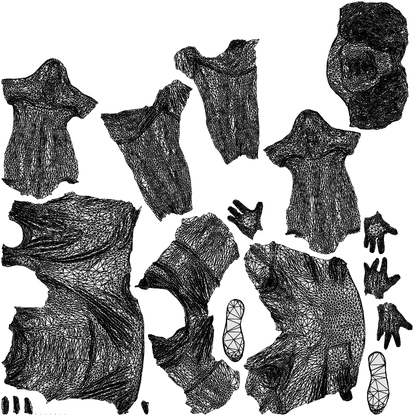 3D people model man casual sport, scanned human for 3ds Max rendering, wireframe top-down view