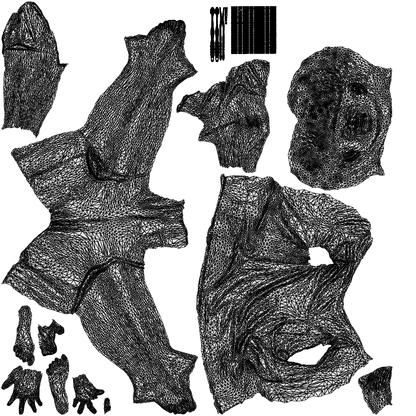 3D scanned boy kids, photorealistic archviz people for Enscape and SketchUp, wireframe top-down view