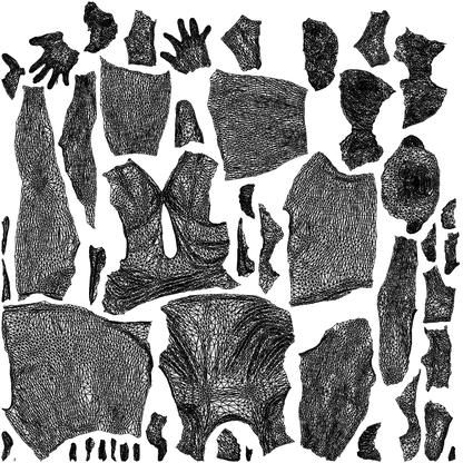 realistic 3D people woman sport, render-ready for V-Ray and Corona, FBX OBJ, wireframe top-down view