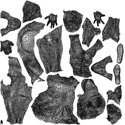scanned 3D woman business, photogrammetry people for Enscape and V-Ray, wireframe top-down view