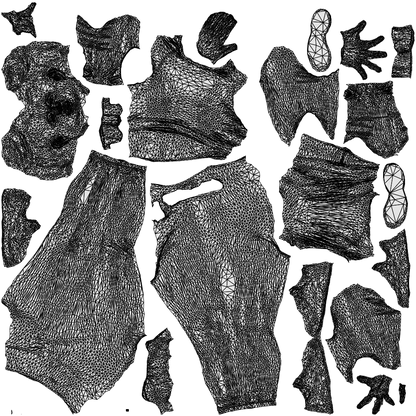 realistic 3D woman sport, scanned archviz people for Blender and 3ds Max, wireframe top-down view
