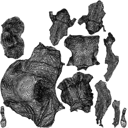 realistic 3D human woman casual sitting, archviz people FBX OBJ for Blender, wireframe top-down view