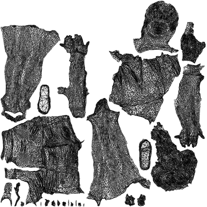 realistic 3D people girl casual walking, render-ready for V-Ray and Corona, FBX OBJ, wireframe top-down view