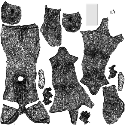 realistic 3D man business, scanned archviz people for Blender and 3ds Max, wireframe top-down view