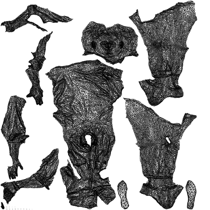 realistic 3D people man casual sitting, render-ready for V-Ray and Corona, FBX OBJ, wireframe top-down view