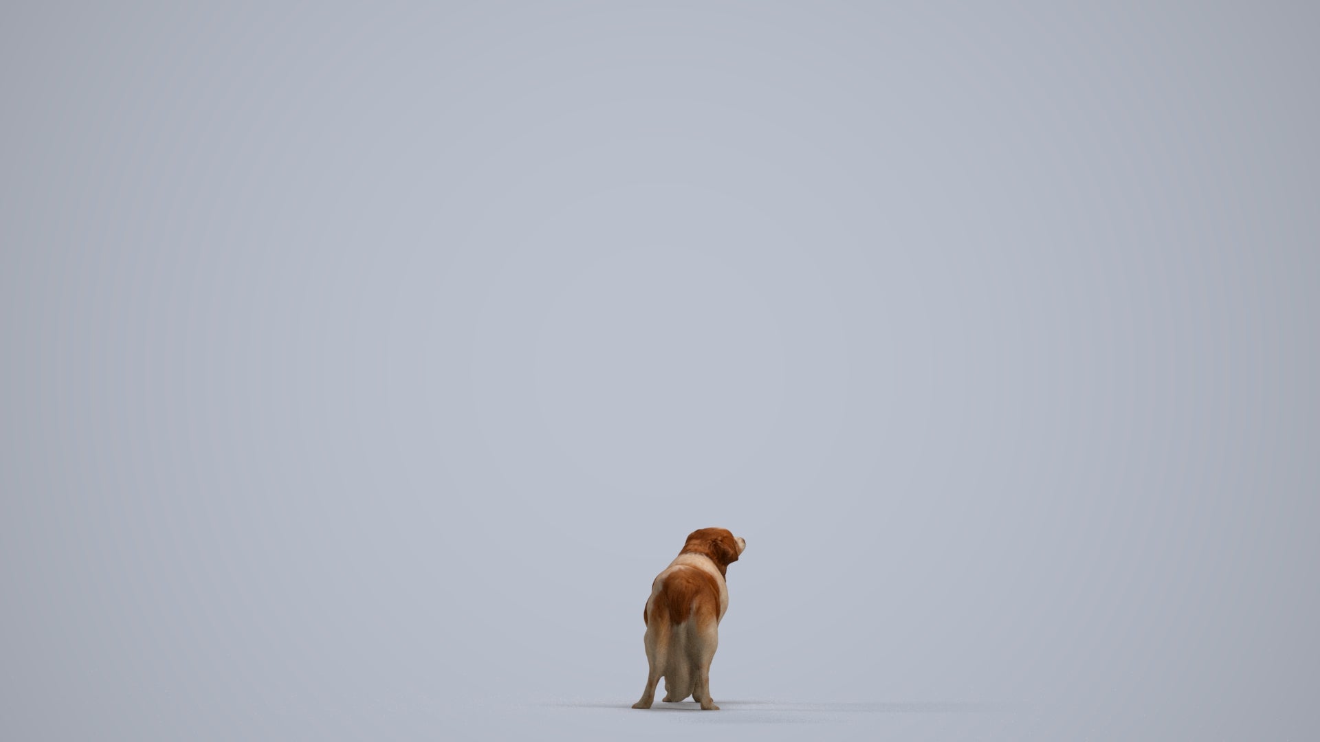 photogrammetry 3D person misc, realistic human model archviz FBX, front view render