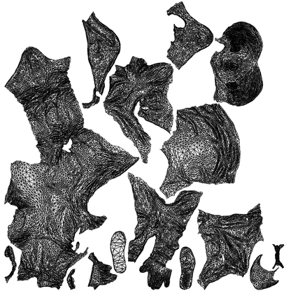 3D scanned boy kids casual, photorealistic archviz people for Enscape and SketchUp, wireframe top-down view