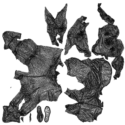 3D scanned woman standing casual, photorealistic archviz people for Enscape and SketchUp, wireframe top-down view