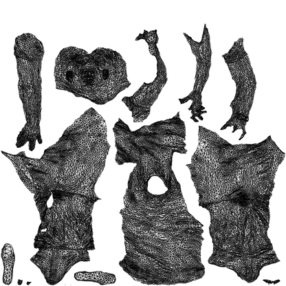 realistic 3D man casual sitting, scanned archviz people for Blender and 3ds Max, wireframe top-down view