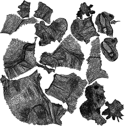 scanned 3D man casual sitting, photogrammetry people for Enscape and V-Ray, wireframe top-down view