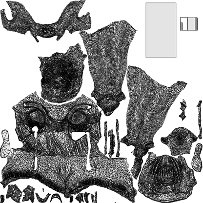 3D people model girl casual kids, scanned human for 3ds Max rendering, wireframe top-down view
