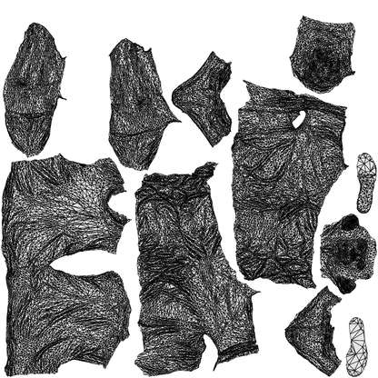 3D people model senior man casual walking, scanned human for 3ds Max rendering, wireframe top-down view