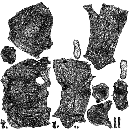 scanned 3D girl kids, photogrammetry people for Enscape and V-Ray, wireframe top-down view