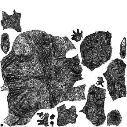 scanned 3D woman casual business, photogrammetry people for Enscape and V-Ray, wireframe top-down view