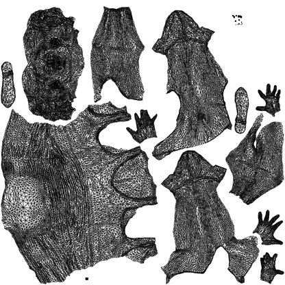 3D people model girl casual kids, scanned human for 3ds Max rendering, wireframe top-down view